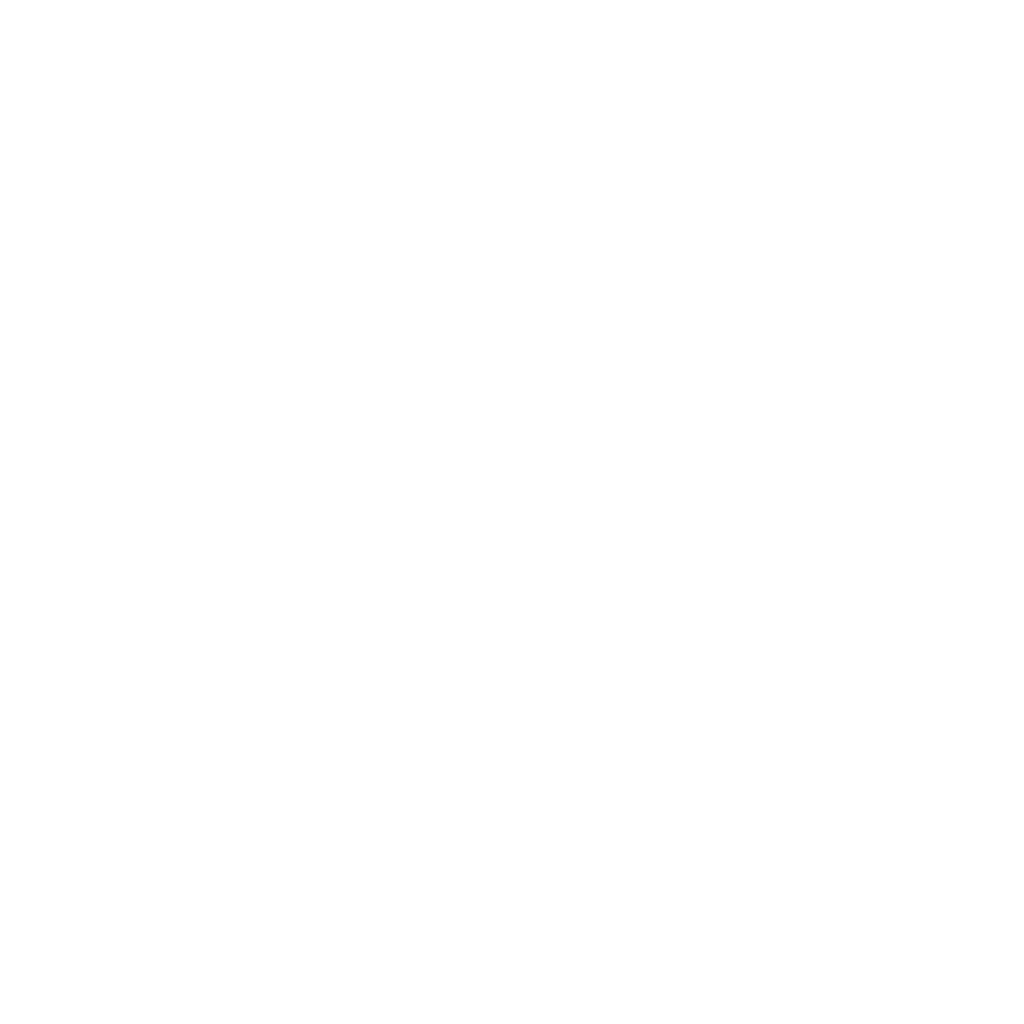 FlamaFlys dragonfly logo